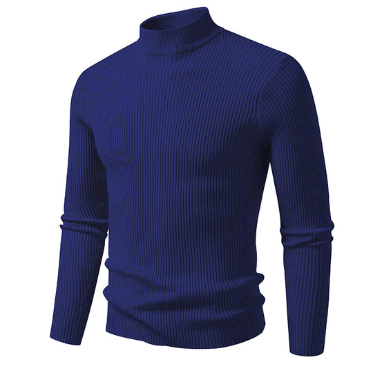 Herren Rollkragenpullover aus strukturiertem Strickmaterial EB
