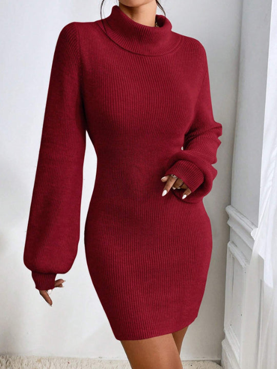 Damen Strickkleid mit hohem Kragen und langen Ärmeln EB