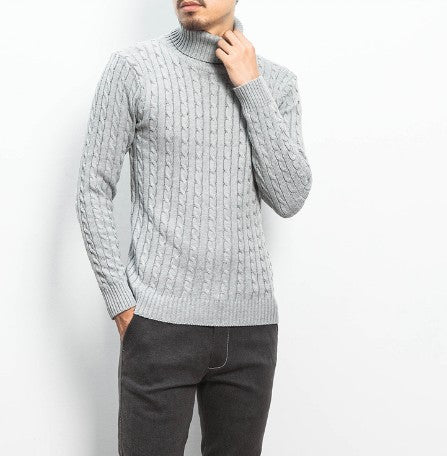 Herren modischer Rollkragenpullover mit strukturierter Strickoptik EB