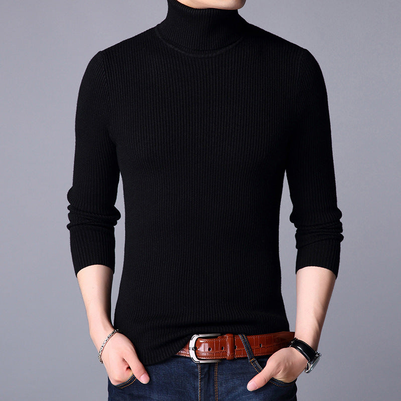 Herren Feinstrickpullover EB