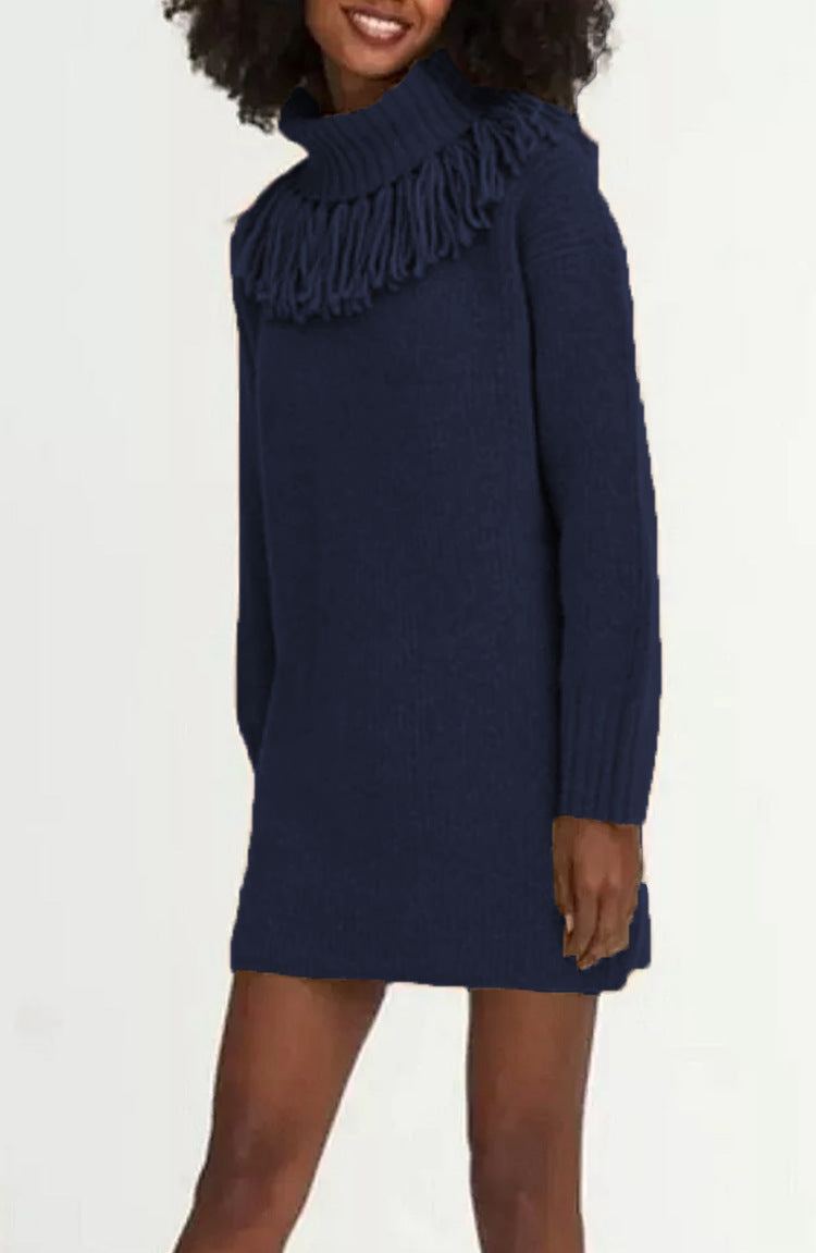 Damen Strickkleid mit hohem Rollkragen und modischen Fransen EB