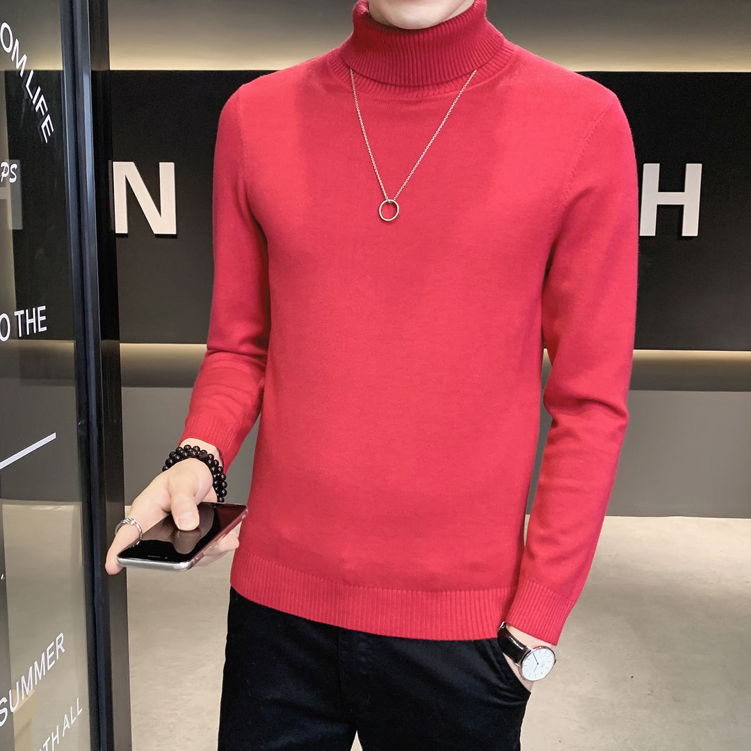 Herren Pullover mit hohem Kragen aus weicher Strickware EB