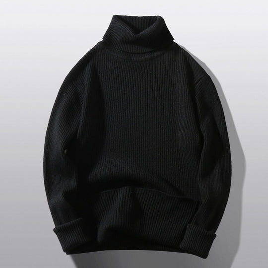 Herren bequemer Rollkragenpullover aus strukturiertem Strick EB