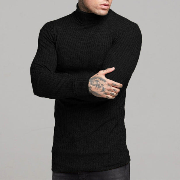 Herren modisches Langarmshirt mit Rollkragen EB