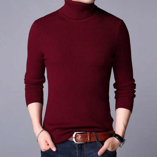 Herren Feinstrickpullover EB