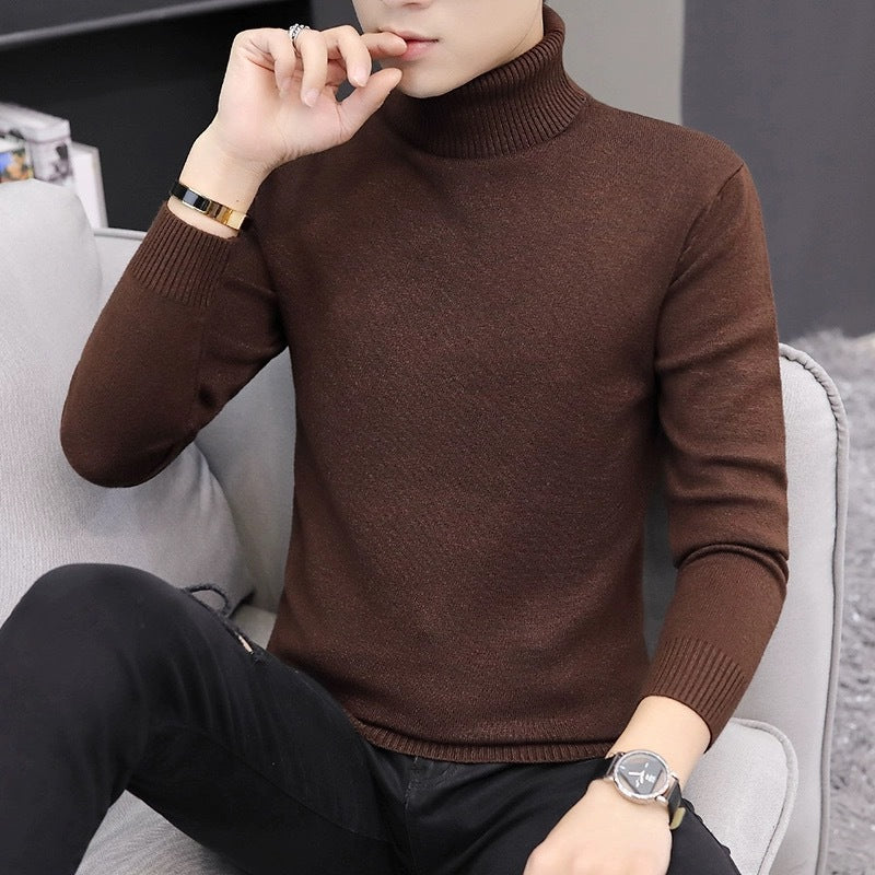 Herren bequemer Rollkragenpullover EB