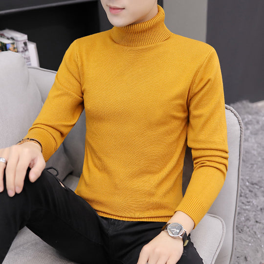 Herren hochgeschlossenes Strickoberteil EB