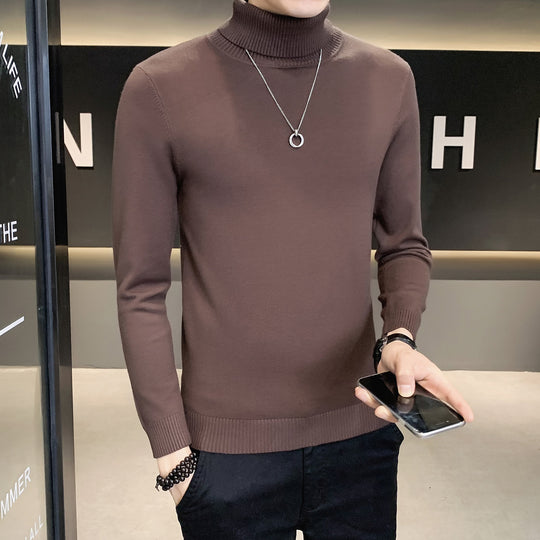 Herren Pullover mit hohem Kragen aus weicher Strickware EB