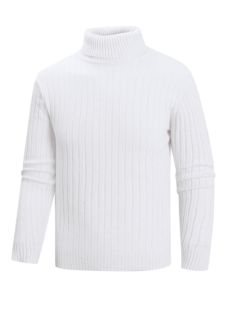 Herren Rollkragenpullover aus hochwertigem Feinstrick EB