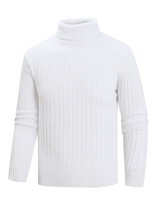 Herren Rollkragenpullover aus hochwertigem Feinstrick EB