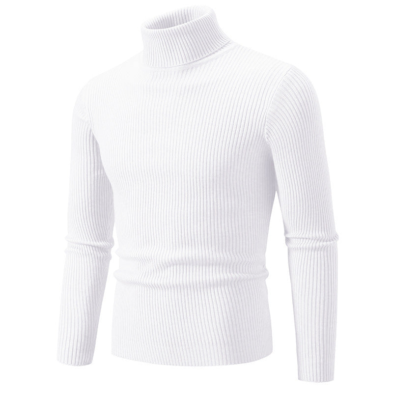 Herren Rollkragenpullover aus fein geripptem Material EB
