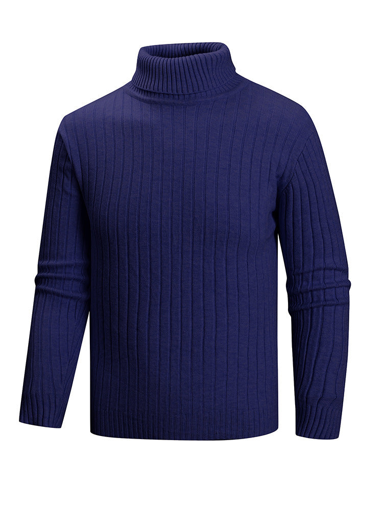 Herren Rollkragenpullover aus hochwertigem Feinstrick EB
