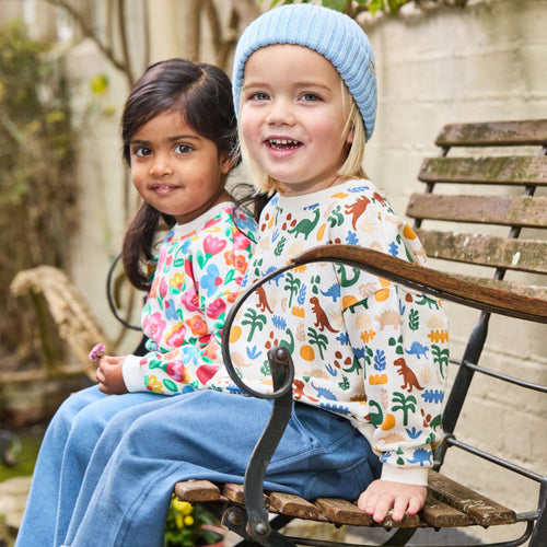 Jungen Sweatshirt mit lebhaftem Dinosaurier-Muster EB