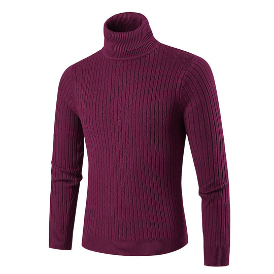 Herren modischer Rollkragenpullover aus strukturiertem Strick EB