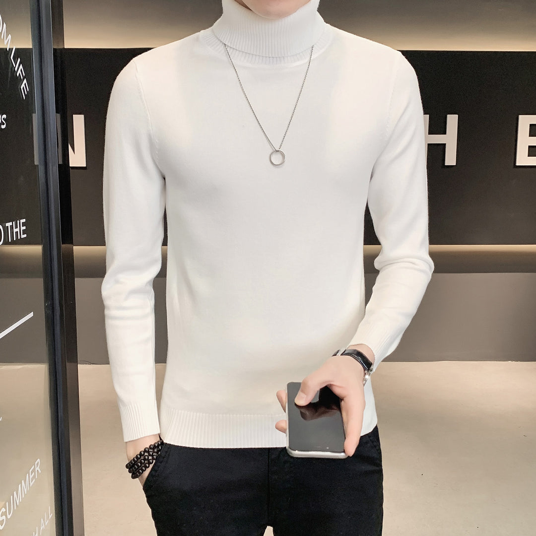 Herren Pullover mit hohem Kragen aus weicher Strickware EB