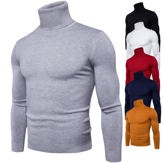 Herren Rollkragenpullover aus weichem Strick EB