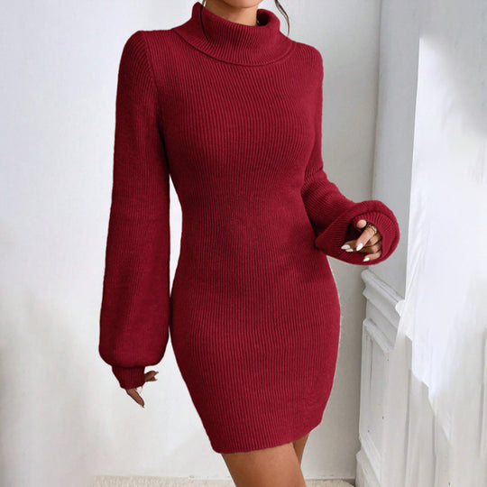 Damen Strickkleid mit hohem Kragen und langen Ärmeln EB