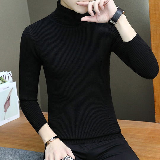 Herren Rollkragenpullover aus hochwertigem Rippenstrick EB