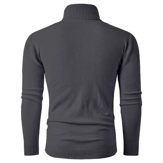 Herren Rollkragenpullover mit strukturierter Oberfläche EB