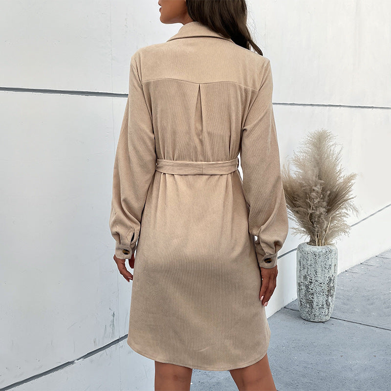 Damen Kleid aus weichem Velours EB