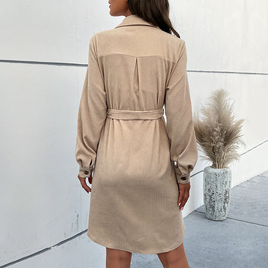 Damen Kleid aus weichem Velours EB