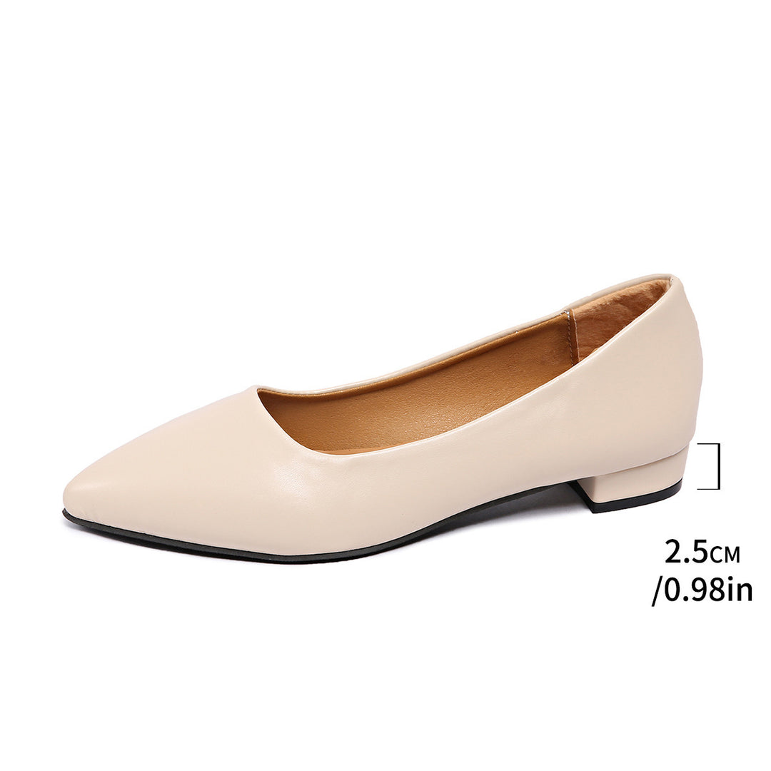 Damen Elegante und bequeme Ballerinas mit spitzem Zehenbereich EB