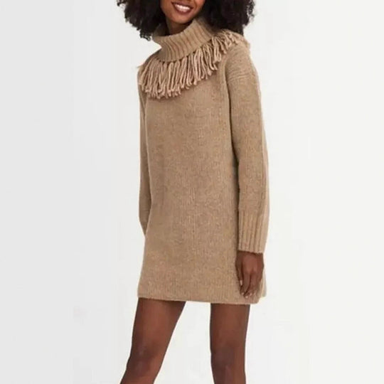 Damen Strickkleid mit hohem Rollkragen und modischen Fransen EB
