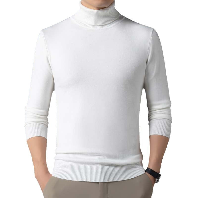 Herren figurbetonter Pullover mit Rollkragen EB