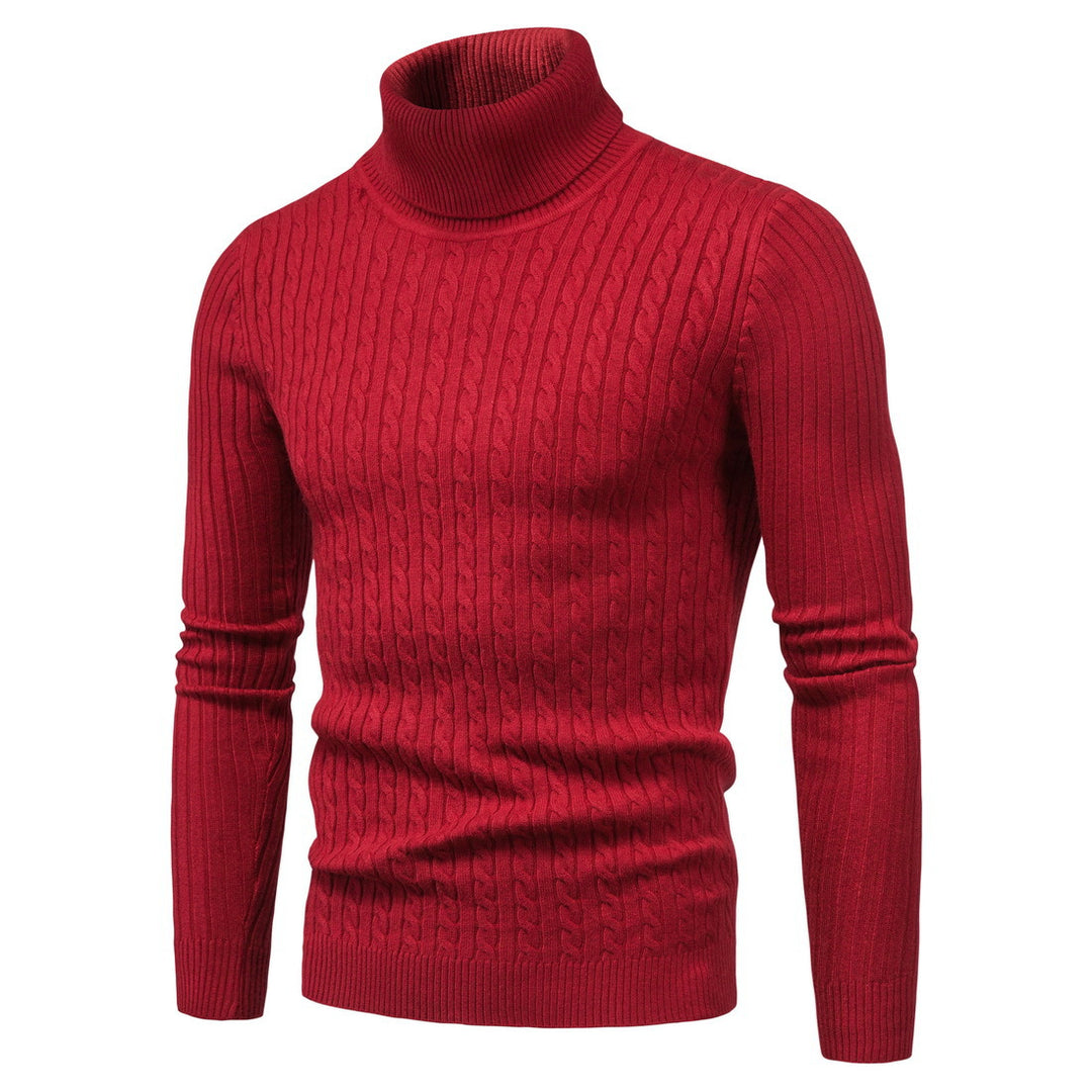Herren komfortabler Rollkragenpullover EB