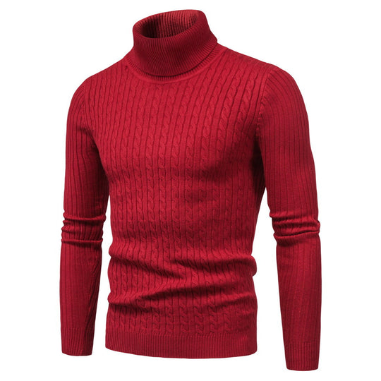 Herren komfortabler Rollkragenpullover EB