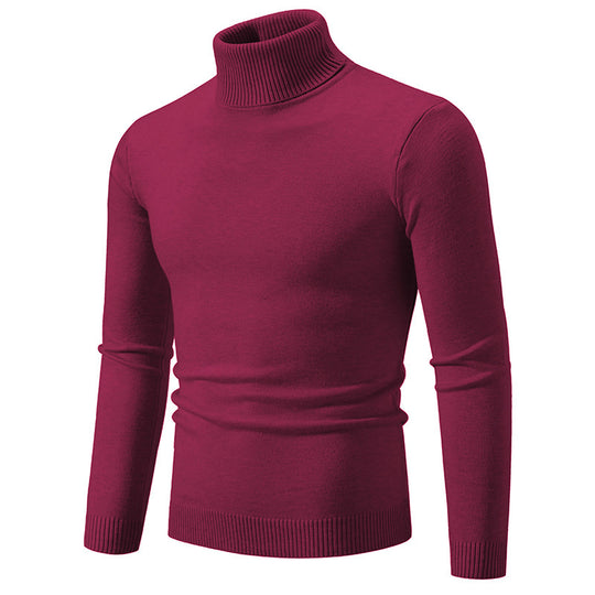 Herren eleganter Rollkragenpullover aus feiner Baumwolle EB