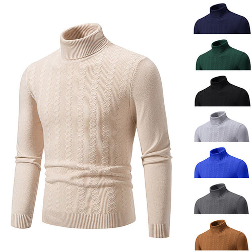 Herren Rollkragenpullover mit strukturiertem Zopfdesign EB