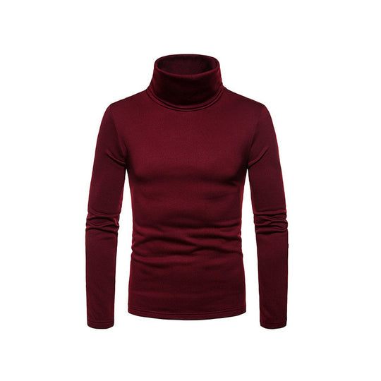 Herren Rollkragenpullover aus weichem Stretchmaterial EB
