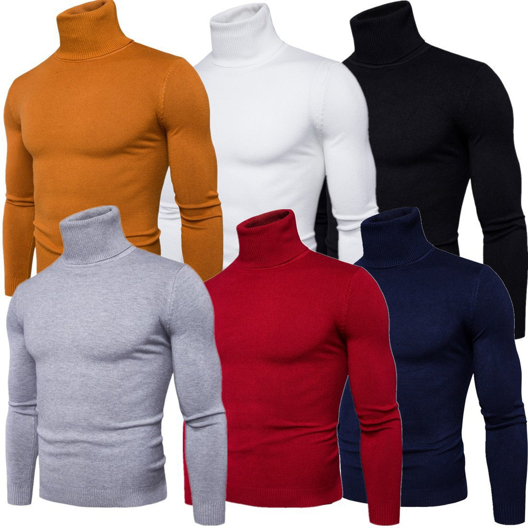 Herren Rollkragenpullover aus feiner Merinowolle EB