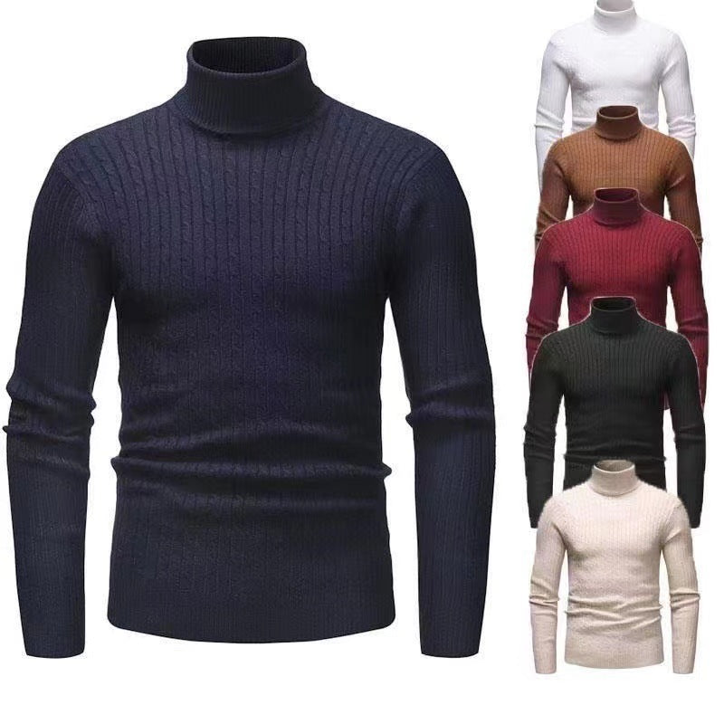 Herren Rollkragenpulli mit strukturiertem Zopfmuster EB