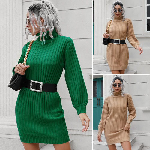Damen Strickkleid mit hohem Kragen und elastischem Gürtel EB