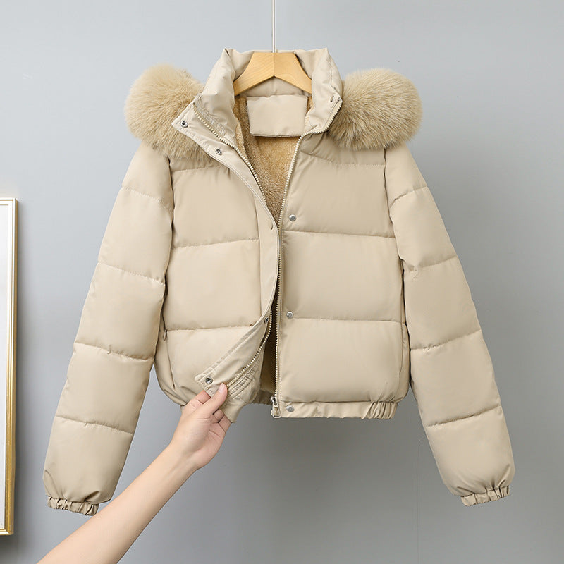 Damen nan kurz geschnittener Thermo-Blouson mit voluminöser Kapuzenblende und elastischem Saum EB