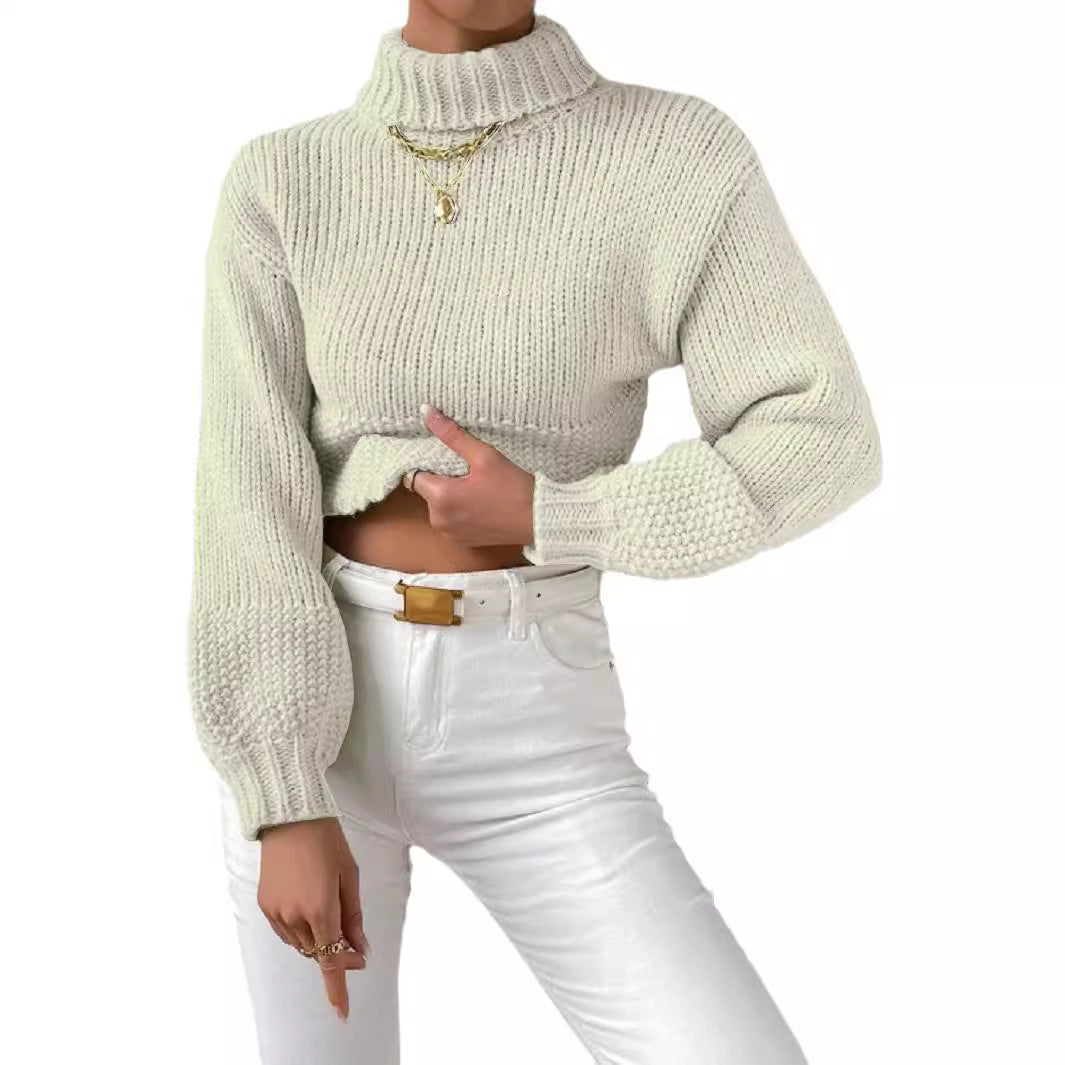 Damen Grobstrick Pullover mit hohem Kragen EB