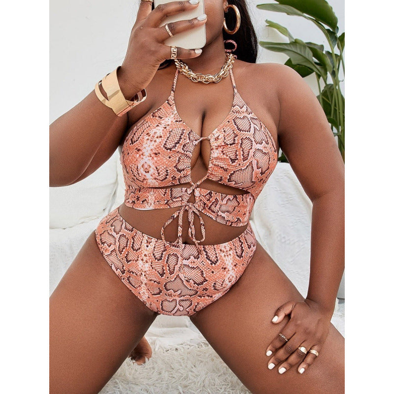 Damen Triangel-Bikini mit raffiniertem Cut-Out und trendigem Schlangenprint EB