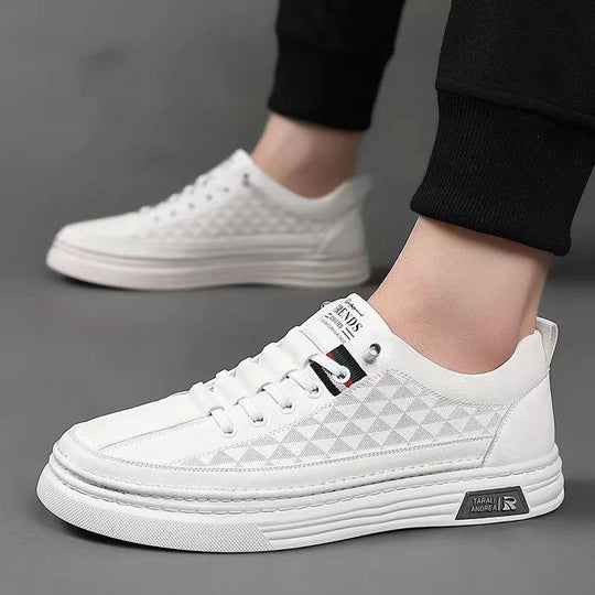 Damen Sneakers im urbanen Design mit atmungsaktiven Einsätzen und dämpfender Sohle EB