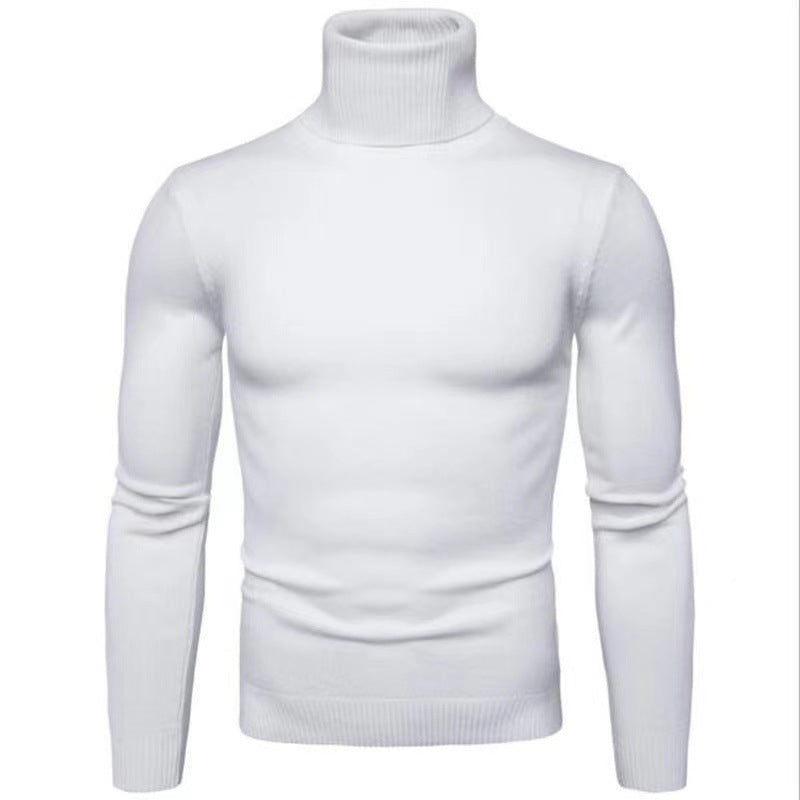 Herren Rollkragenpullover aus hochwertiger Baumwolle EB