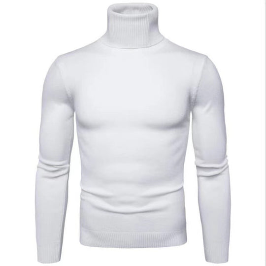 Herren Rollkragenpullover aus hochwertiger Baumwolle EB