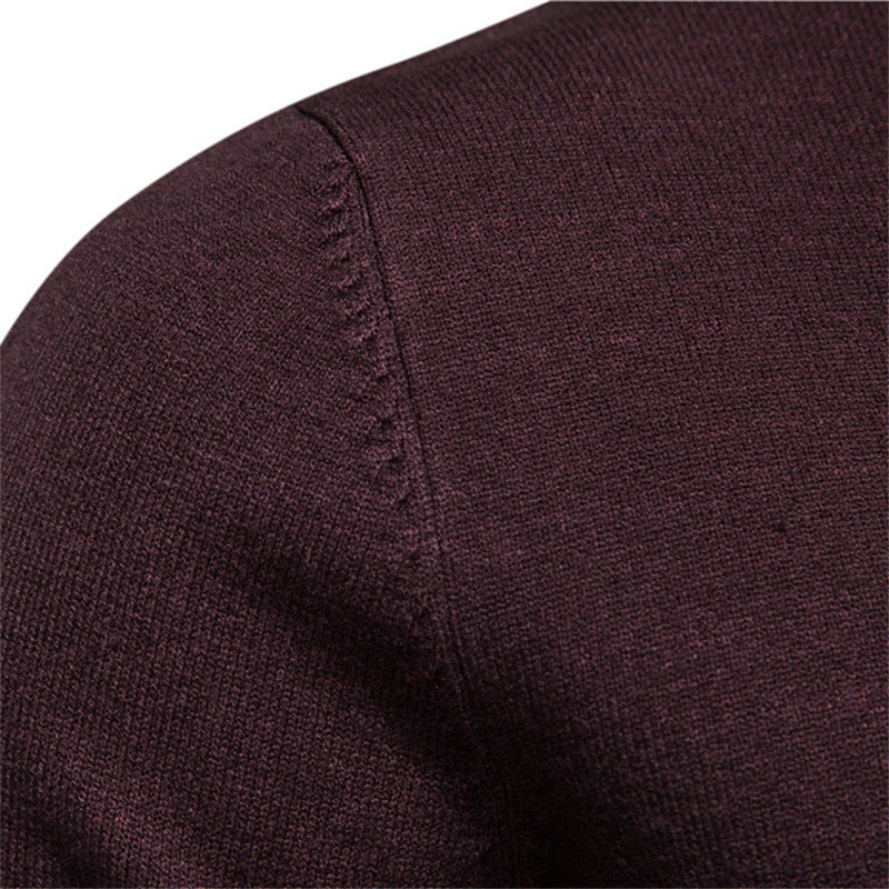 Herren stilvoller Rollkragenpullover aus weicher Merinowolle EB