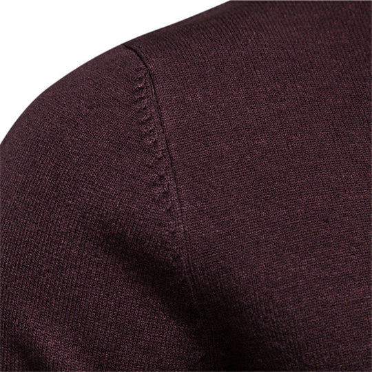 Herren stilvoller Rollkragenpullover aus weicher Merinowolle EB