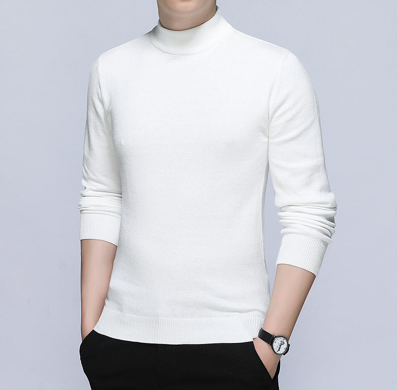 Herren stilvoller Rollkragenpullover aus weichem Baumwollmix EB