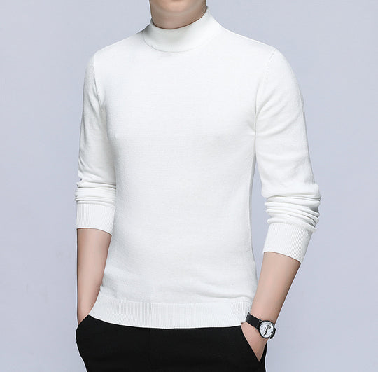 Herren stilvoller Rollkragenpullover aus weichem Baumwollmix EB