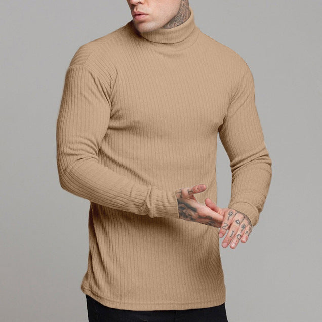 Herren modisches Langarmshirt mit Rollkragen EB