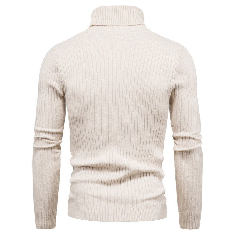 Herren Rollkragenpullover mit Zopfmuster EB