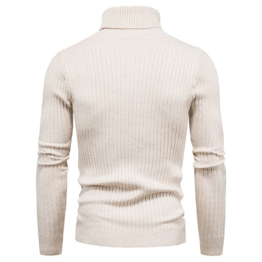 Herren Rollkragenpullover mit Zopfmuster EB