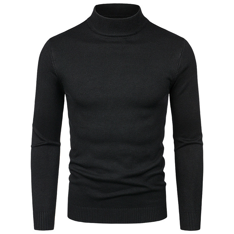 Herren Rollkragenpullover aus hochwertiger Wolle EB